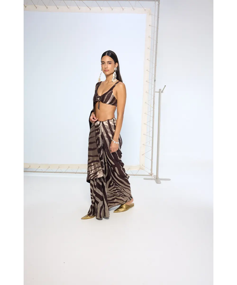 EKAYA BANARAS - Handwoven Chocolate Brown Silk Saree